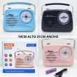   RADIO VINTAGE AM / FM  BT CON  MANIJA